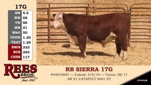 Lot #17G - RB SIERRA 17G