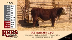 Lot #16G - RB SAMMY 16G