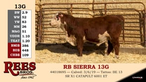 Lot #13G - RB SIERRA 13G