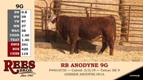 Lot #9G - RB ANODYNE 9G