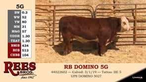 Lot #5G - RB DOMINO 5G