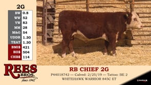 Lot #2G - RB CHIEF 2G