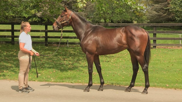 Lot 226
