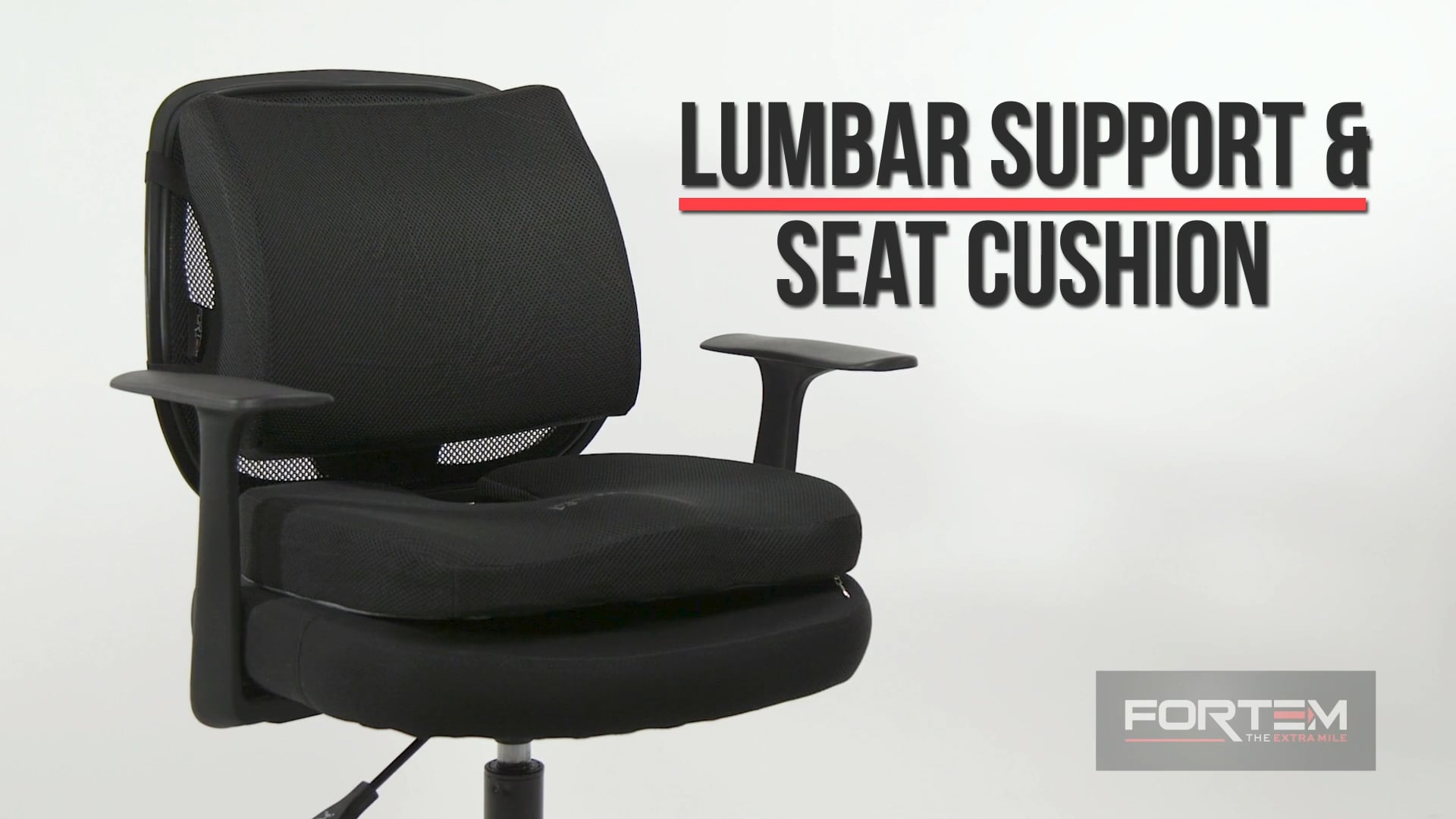 Fortem Seat Cushion & Lumbar Support Full on Vimeo