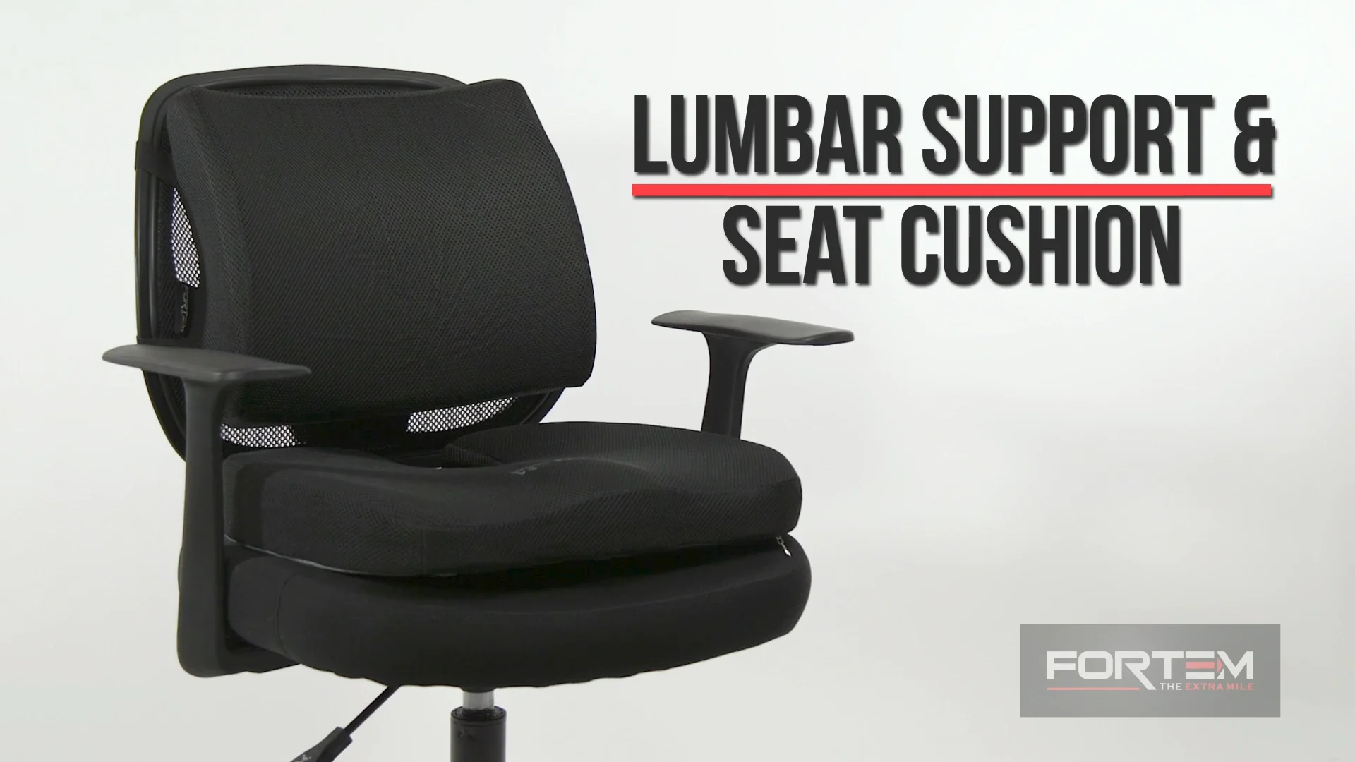 Seat Cushion and Lumbar Support - Fortem