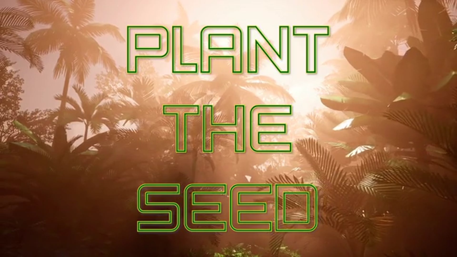 Plant The Seed