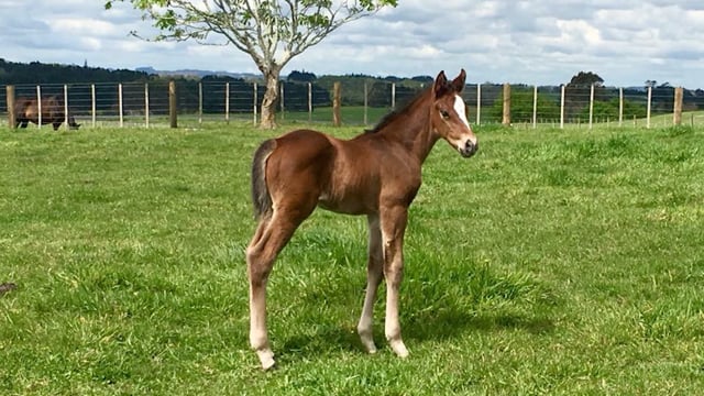 Lot 289