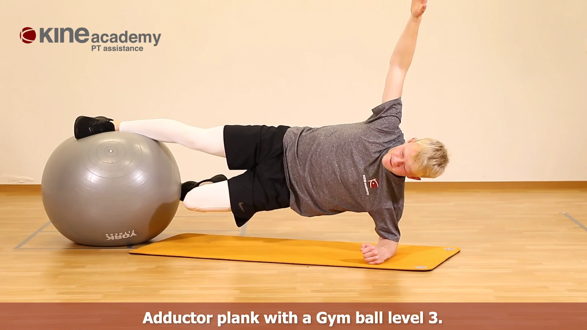 Shared with Dropbox  Excercise ball workout, Yoga ball exercises