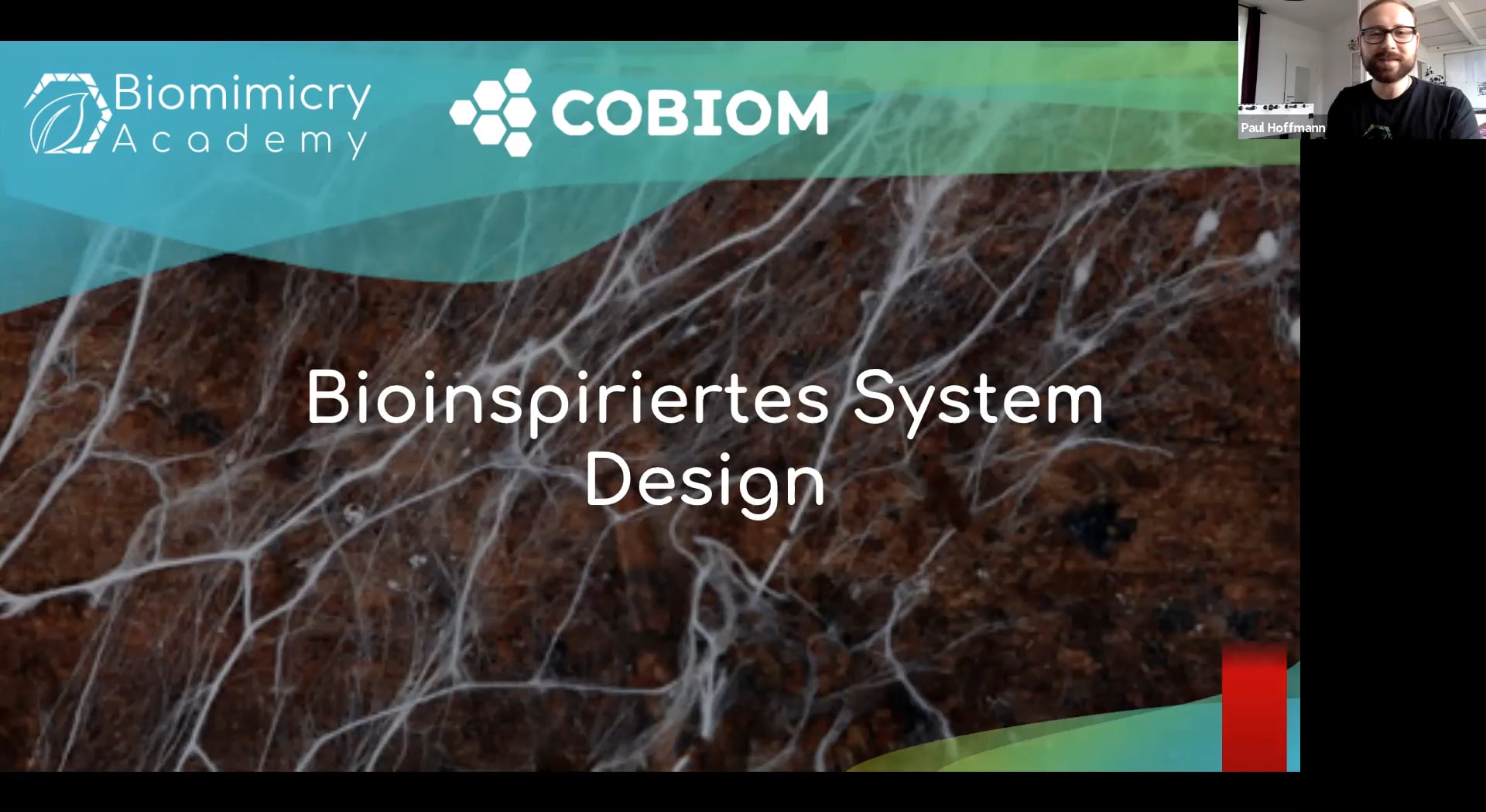 Biomimicry Webinar 3 – Bioinspired System Design #remotefutreseries On ...