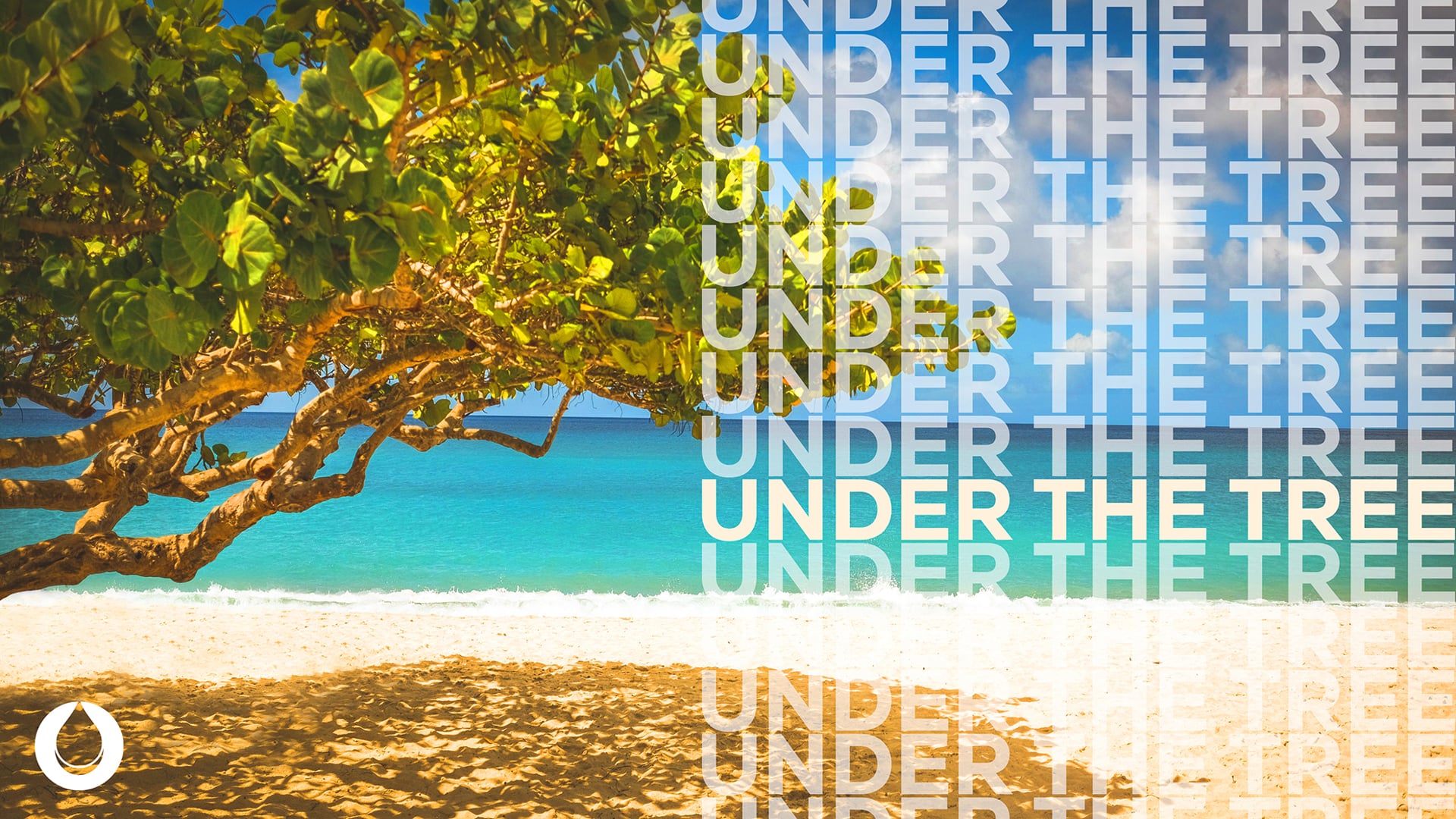 Under the Tree | Pastor Fred McCarthy