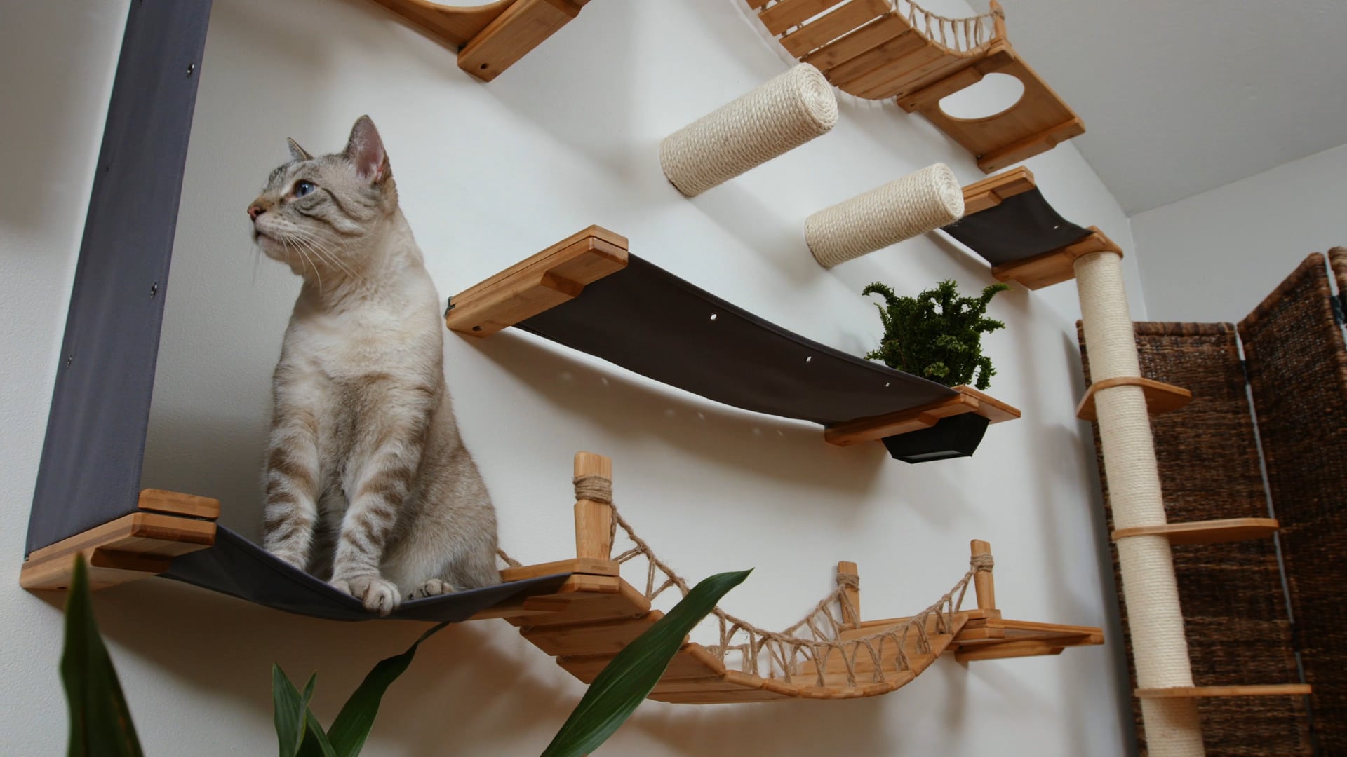 Catastrophic Creations - "Cat Furniture""
