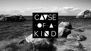 Cause of a Kind image 4386