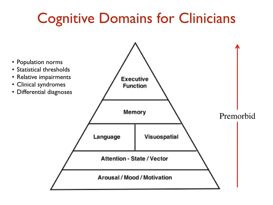 Cognitive hierarchy 2025