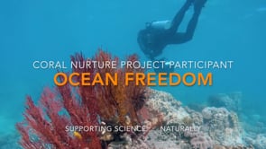 Ocean Freedom Cruise to Upolu Cay Reef and Outer Edge Upolu Reef