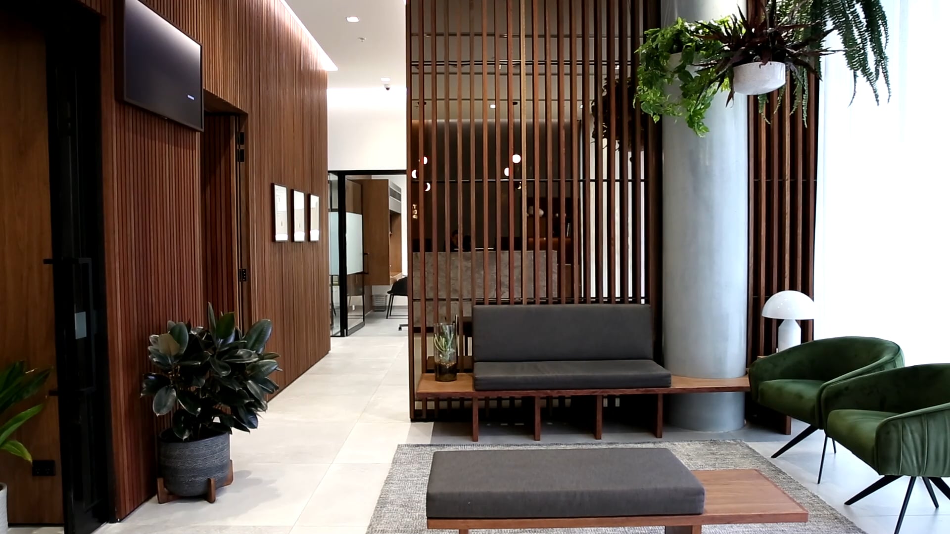 The Dental Practice Promo