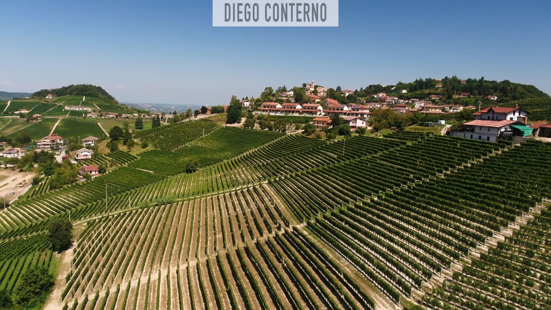 Diego Conterno | Il vigneto di Monforte d'Alba |  The vineyard of Monforte d'Alba