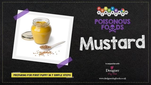 how much mustard will make a dog throw up