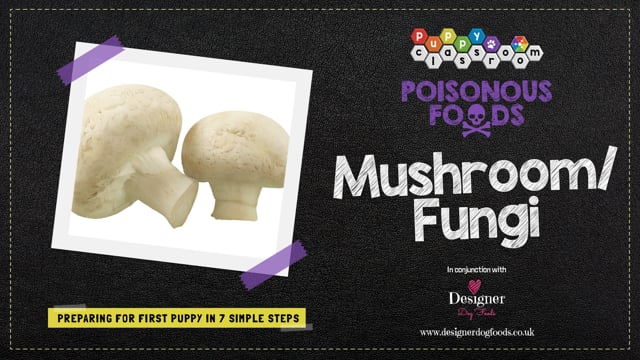 are mushroom safe for dogs