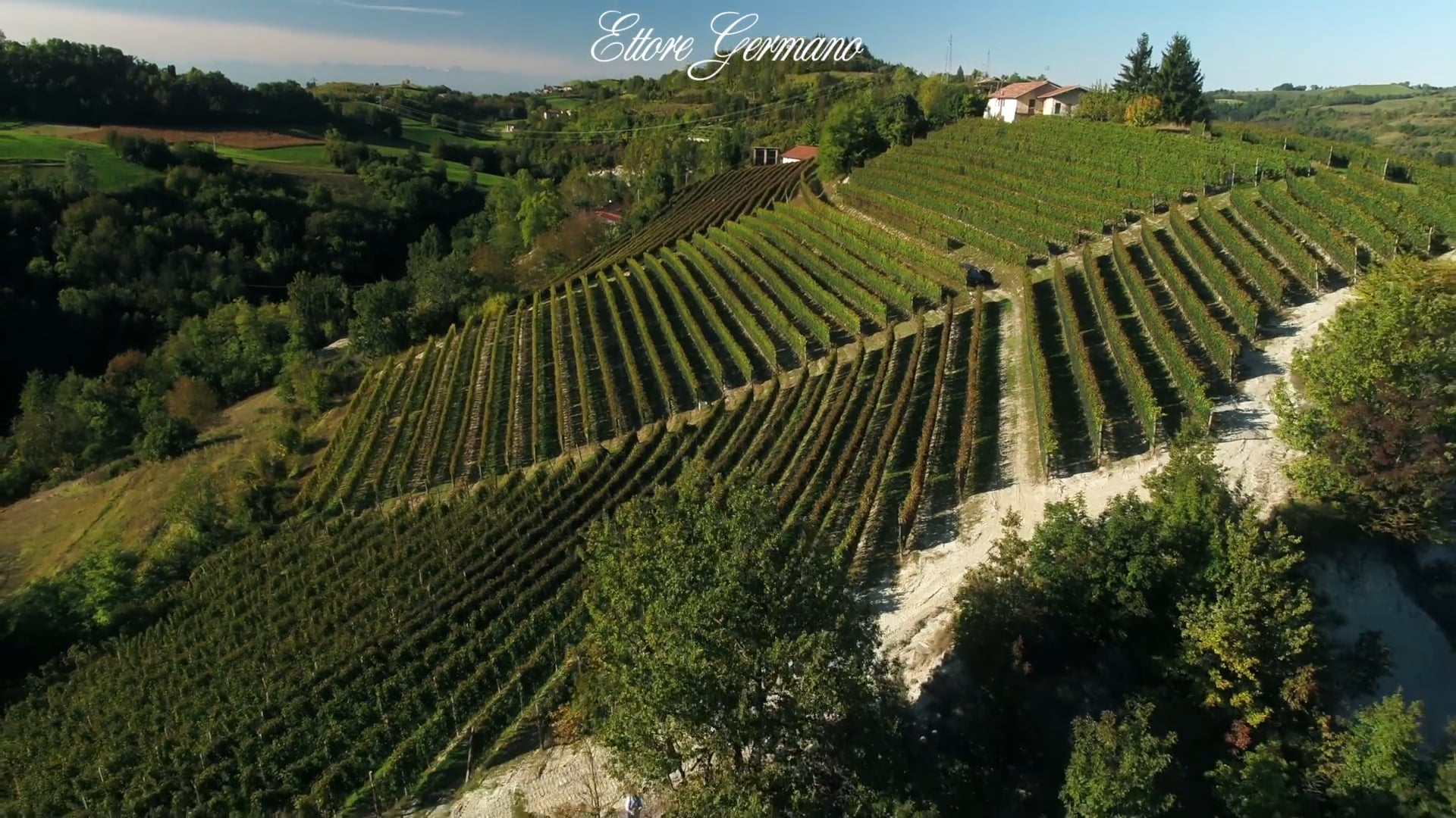 Ettore Germano | Il vigneto di Cigliè | The vineyard in Cigliè