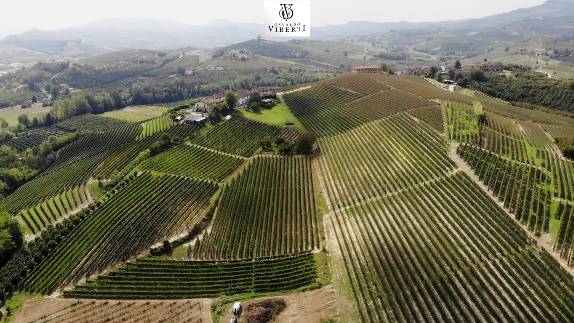 Osvaldo Viberti | Il vigneto in La Morra | The vineyard in La Morra