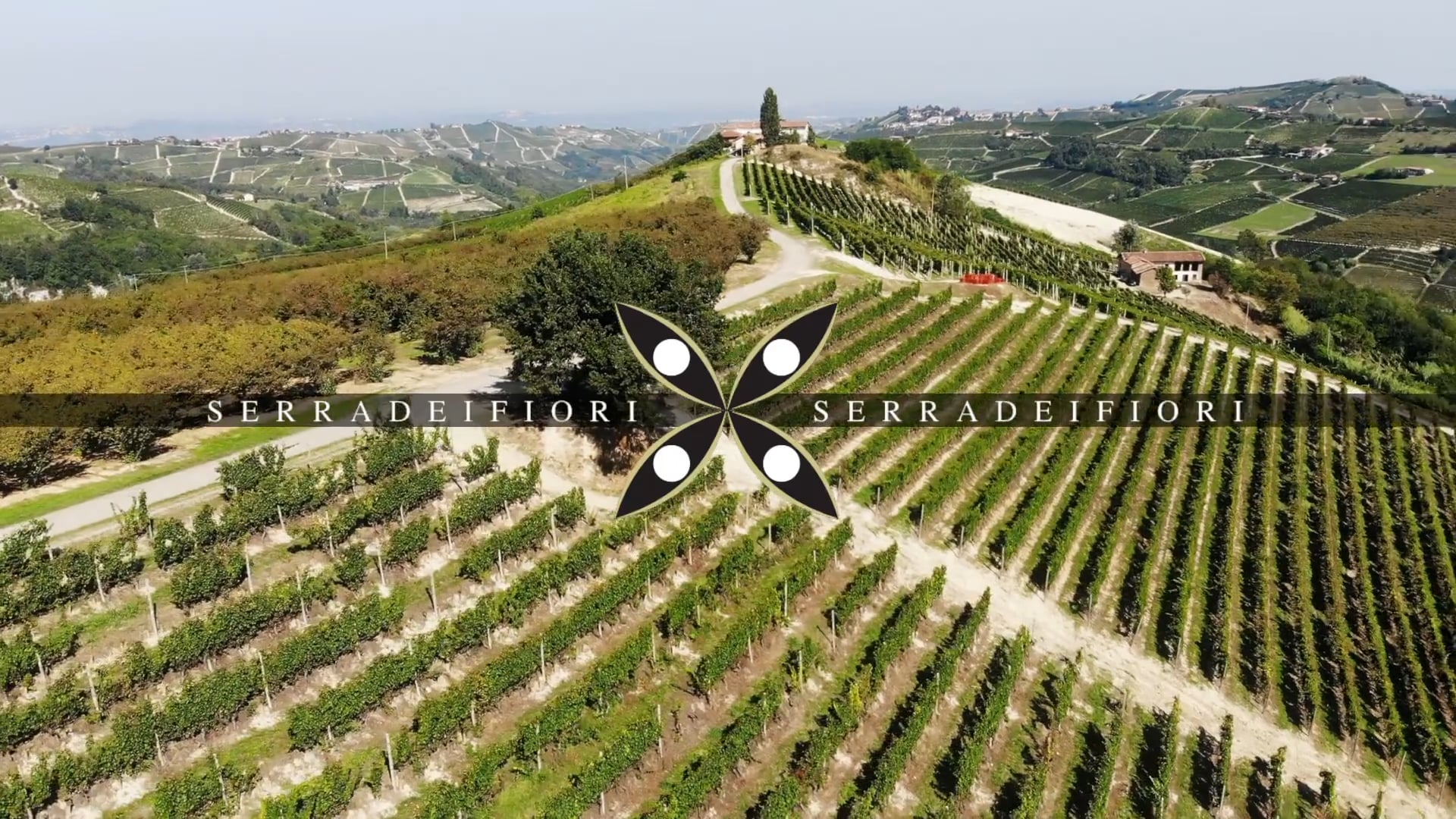 Serra dei Fiori | Il vigneto di Trezzo Tinella | The vineyard of Trezzo Tinella