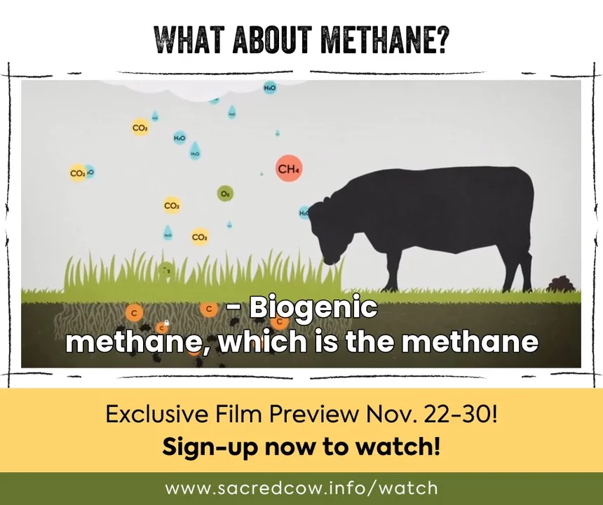 940x788 - Biogenic Methane Cycle - What about methane? - Facebook on Vimeo