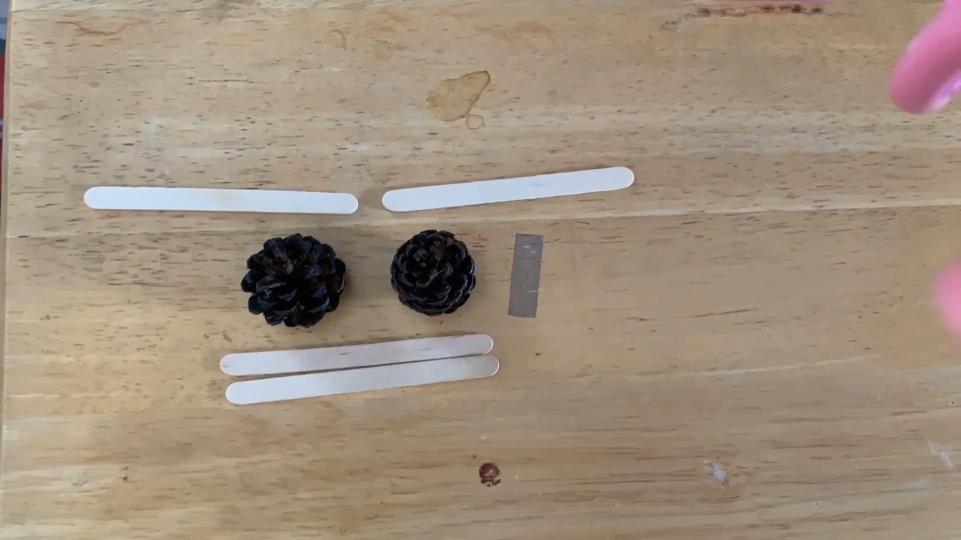 Calibraska 2020 Animate Now!