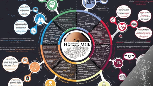 Human Milk Clothing & Accessories