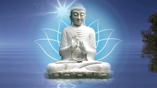 100+ Free Buddha & Meditation Videos, HD & 4K Clips - Pixabay