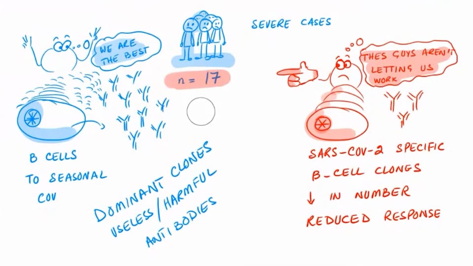 Seasonal Specific Antibodies and Severity of COVID-19