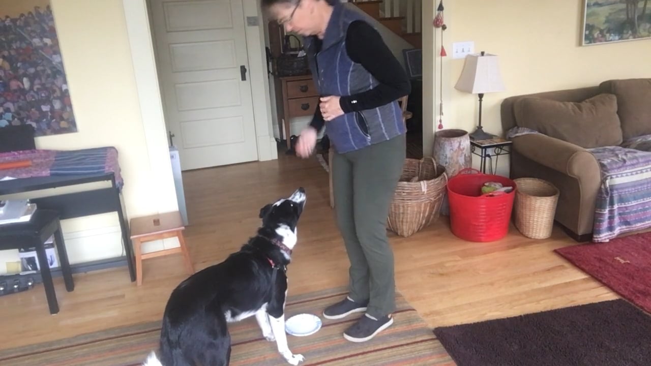 Up Down Pattern Game on Vimeo