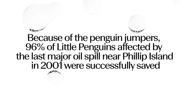Penguin Foundation • Little Penguin