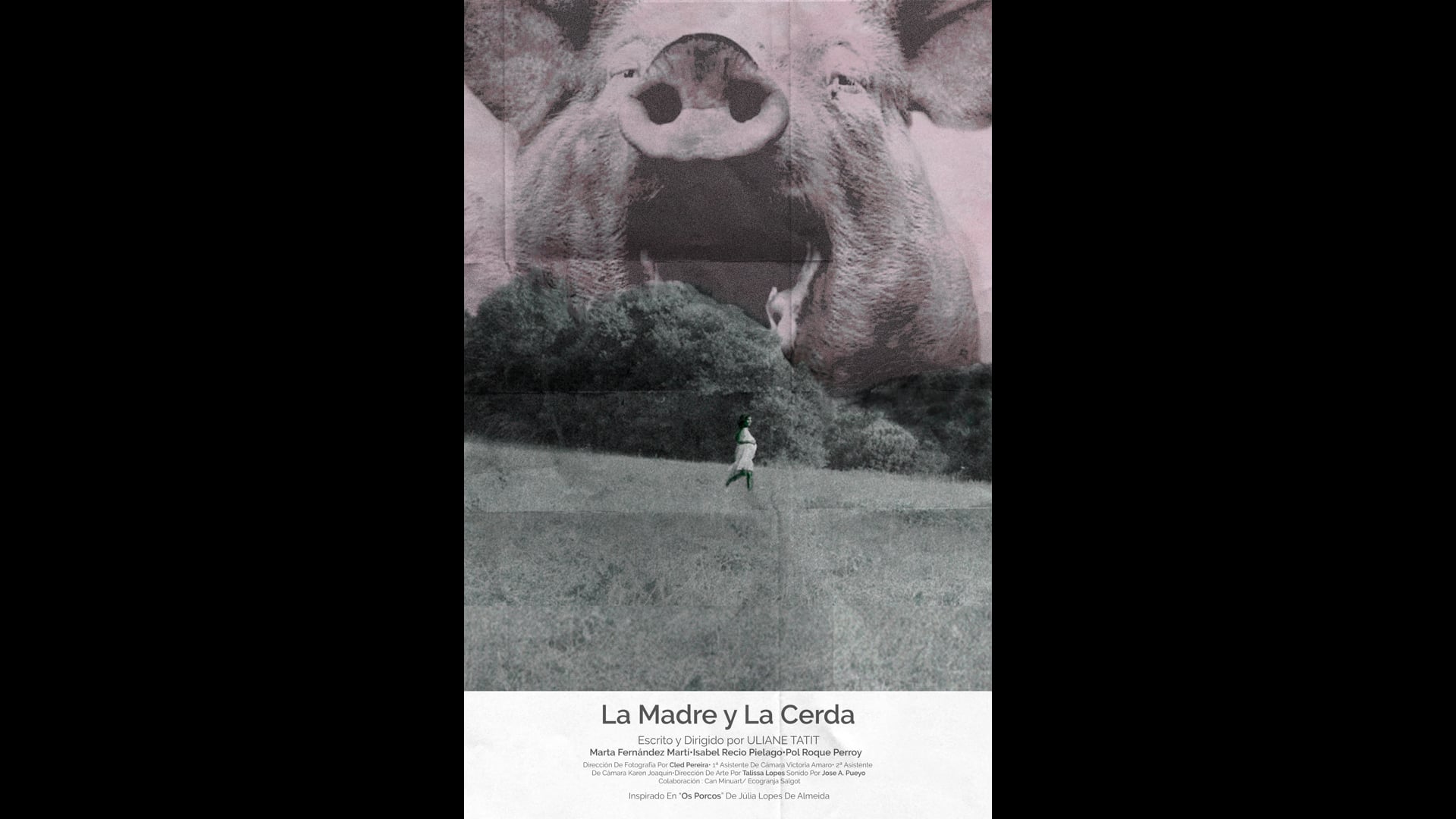 Teaser - La Madre y La Cerda (cortometraje)