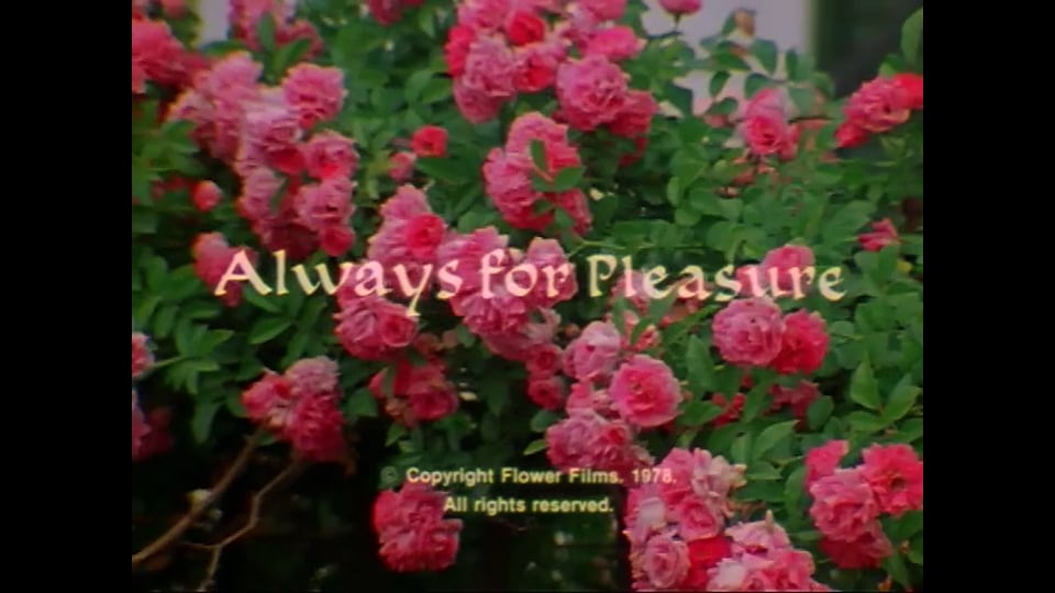 Always for Pleasure