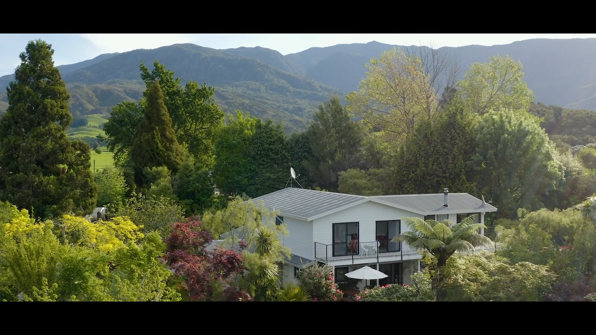Takaka Collingwood