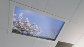 Sky Inside Installation at Robert Jones and Agnes Hunt Orthopaedic Hospital