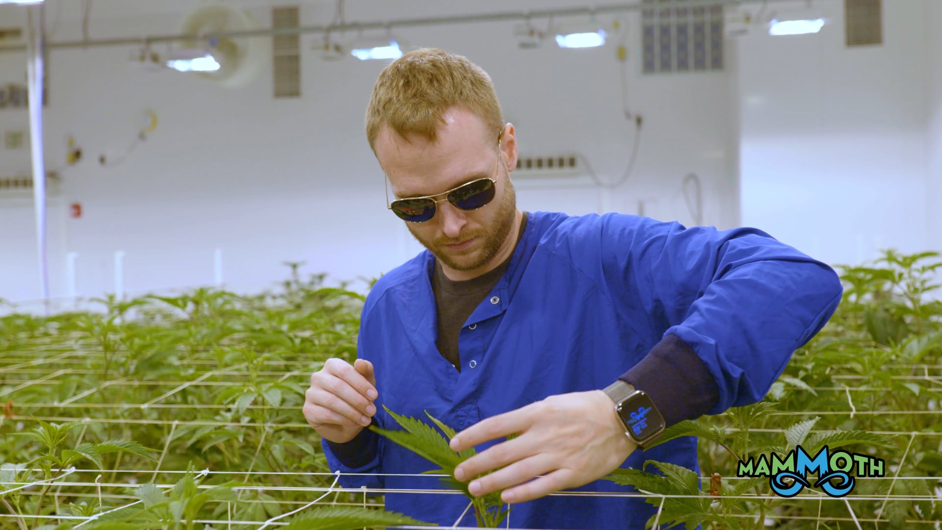 Passion for growing: A Spencer Blier Profile