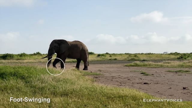 Foot-Swinging. Context: Attentive (3)