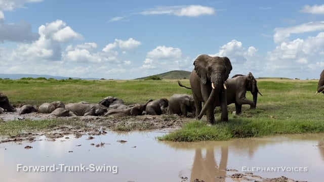 Forward-Trunk-Swing. Context: Aggressive (2)