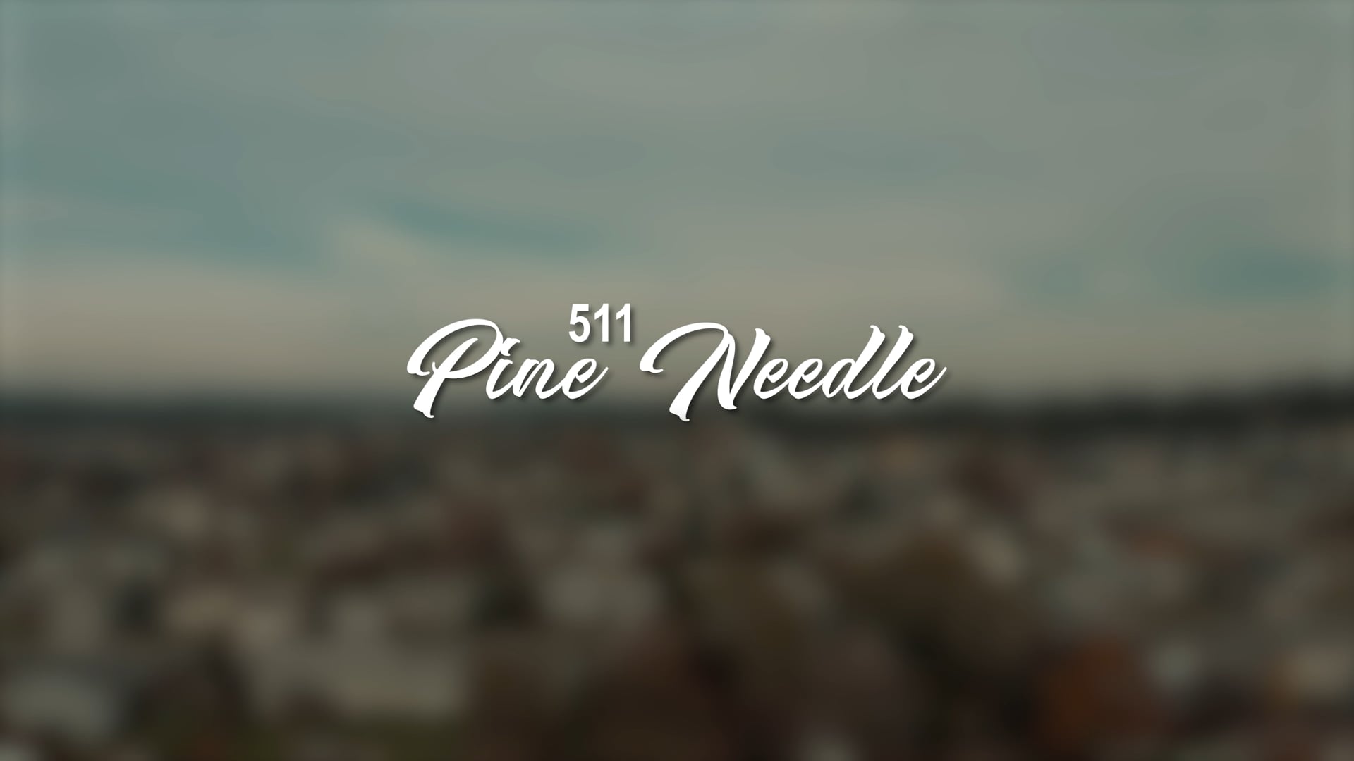 PINE NEEDLE