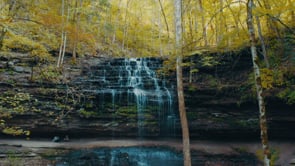 Enjoy the Beautiful Outdoors of Columbia, TN