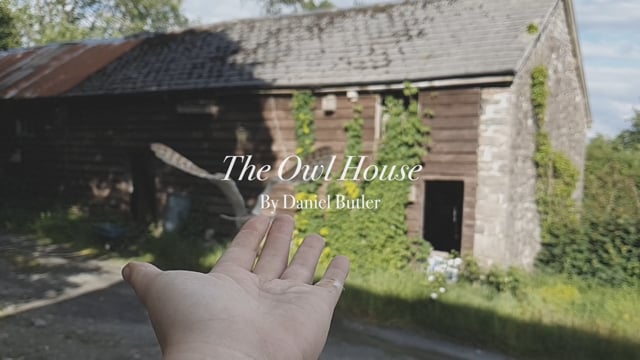 Vimeo Thumbnail (API)