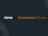 Ciena #3 | Optimization