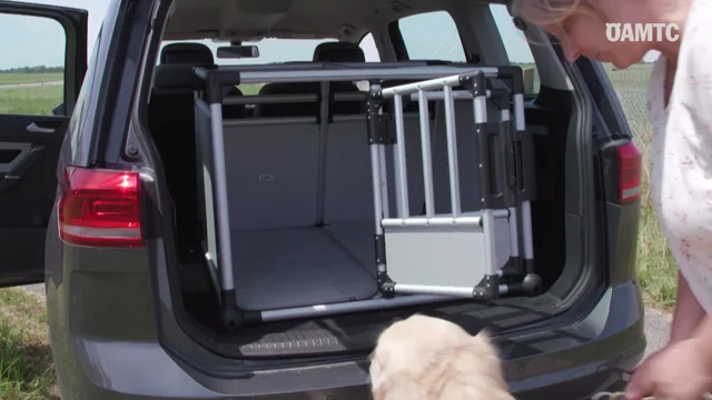 ÖAMTC-Test: Sicherer Transport von Hunden unerlässlich
