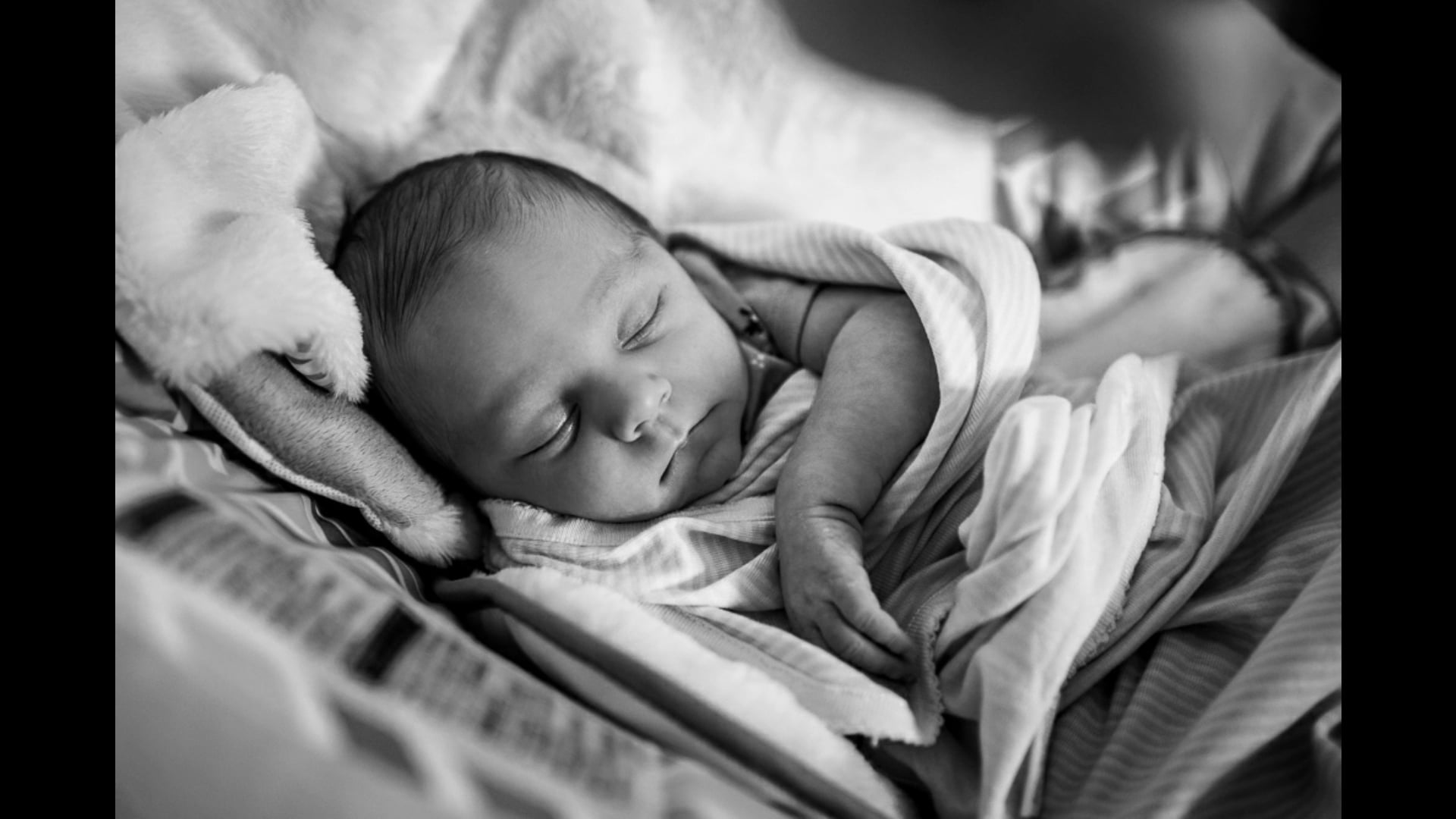 Harlowe Marlayne Harper  |  Kincardine Newborn Photographer