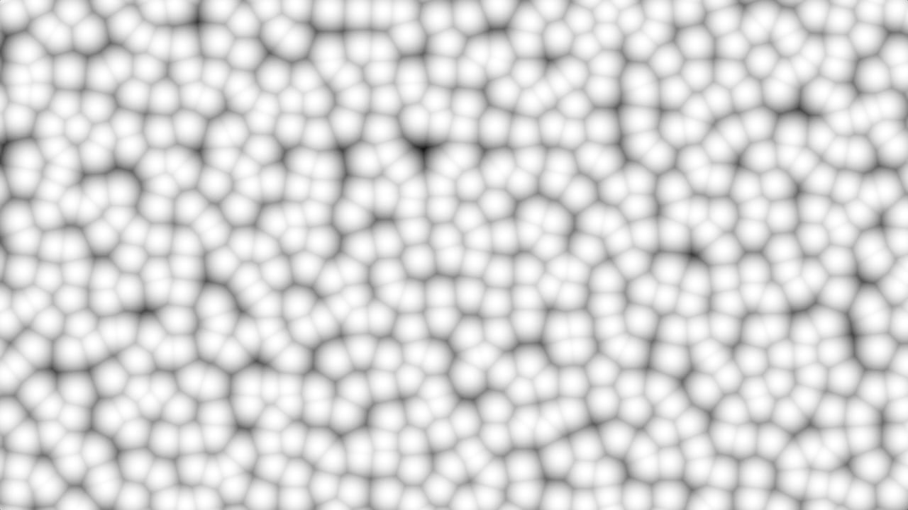 the shadow of a smile