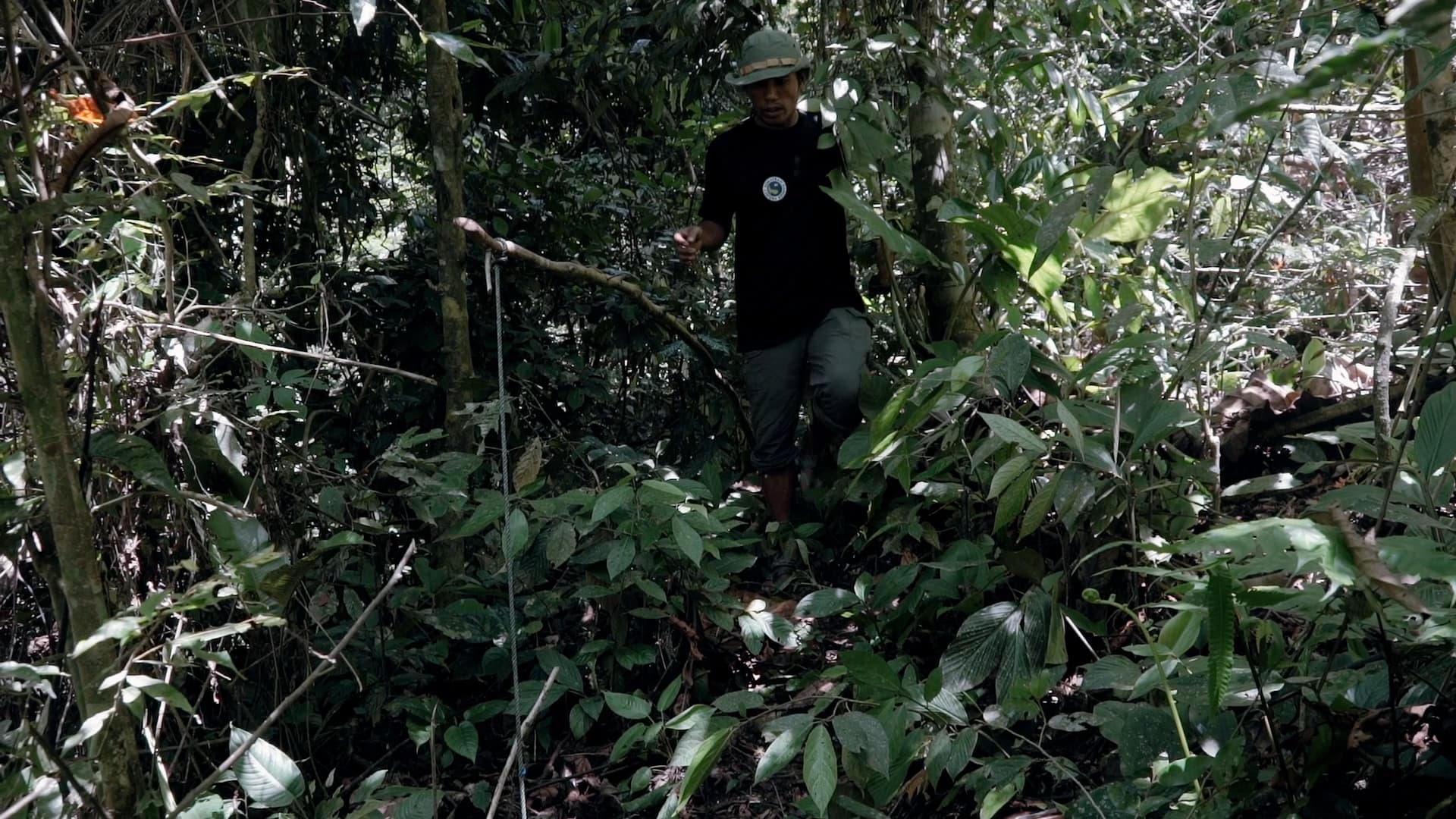 Keepers of the Forest