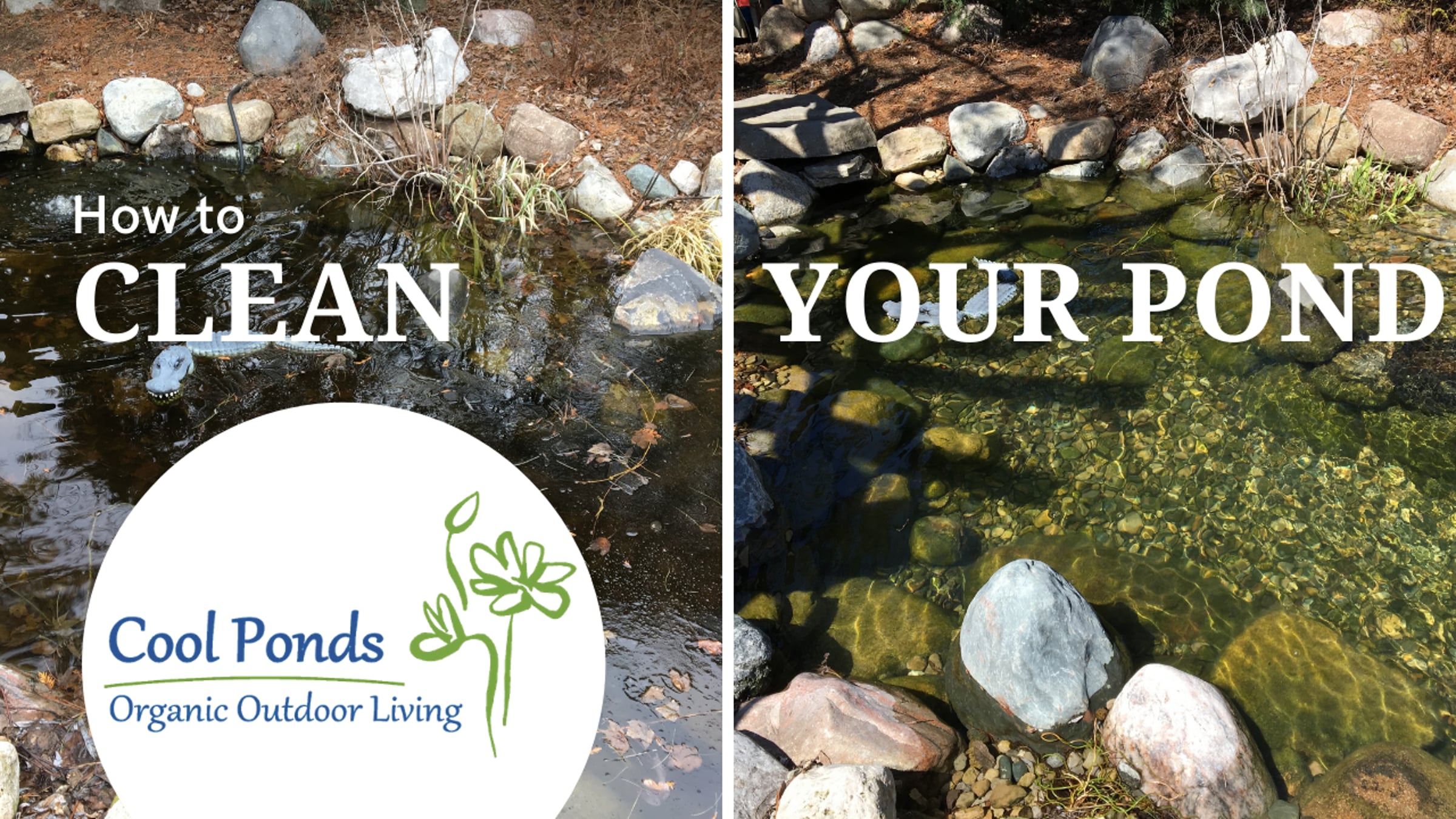 How to Clean Your Pond