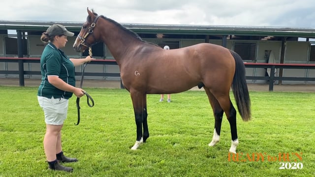 Road to 2020 Ready to Run - Curraghmore