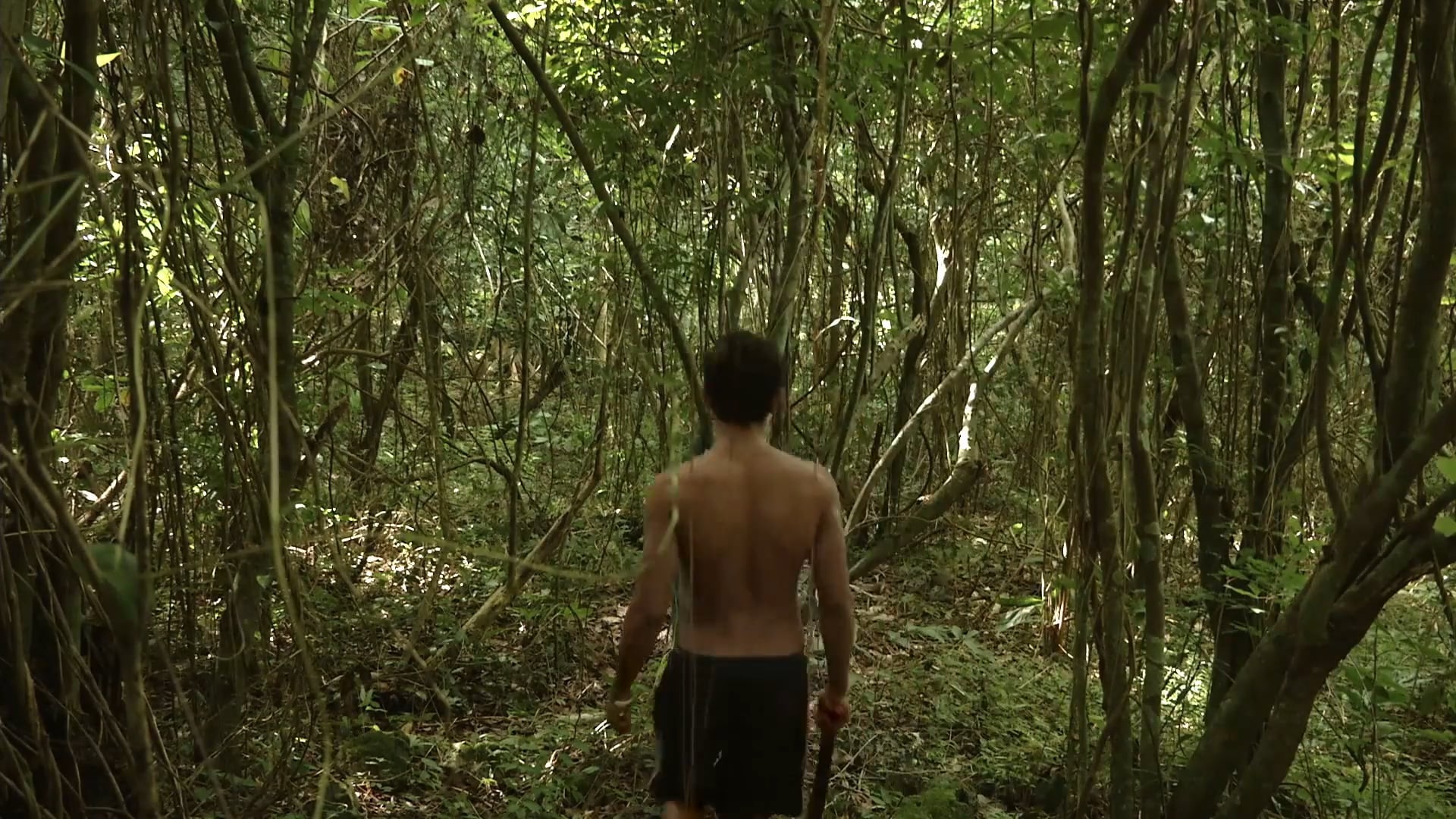 NUNCA JAMÁS (NEVERLAND) - Tráiler